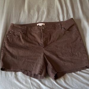 Size XL Chicos brand cut off brown shorts!